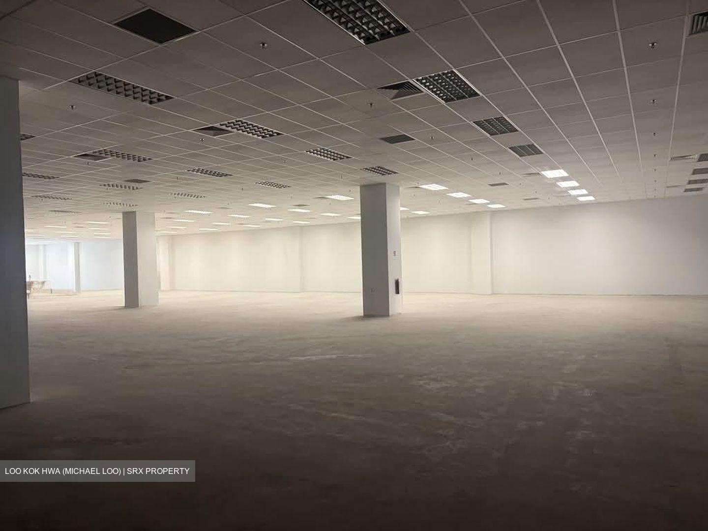 Techview (D14), Factory #589654581
